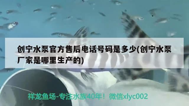 創(chuàng)寧水泵官方售后電話號碼是多少(創(chuàng)寧水泵廠家是哪里生產(chǎn)的)