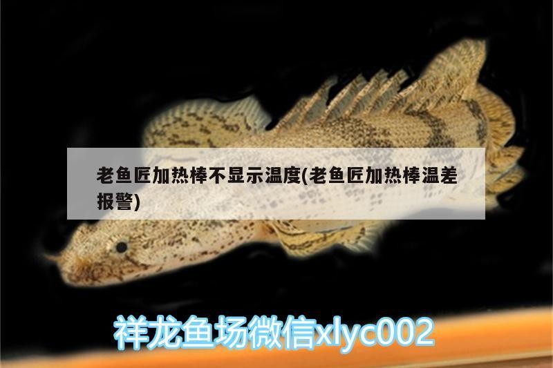 老魚(yú)匠加熱棒不顯示溫度(老魚(yú)匠加熱棒溫差報(bào)警)