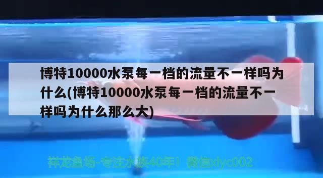 博特10000水泵每一檔的流量不一樣嗎為什么(博特10000水泵每一檔的流量不一樣嗎為什么那么大)