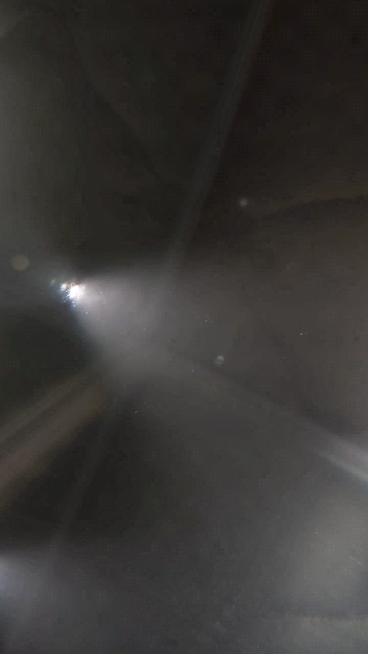 請(qǐng)問大佬們,為啥我魚缸的水是這樣的,昨天剛換的水 霧蒙蒙的。 但是越遠(yuǎn)距離看水也不是特別渾濁 請(qǐng)問大佬們,為啥我魚缸的水是這樣的,昨天剛換的水 霧蒙蒙的。 但是越遠(yuǎn)距離看水也不是特別渾濁