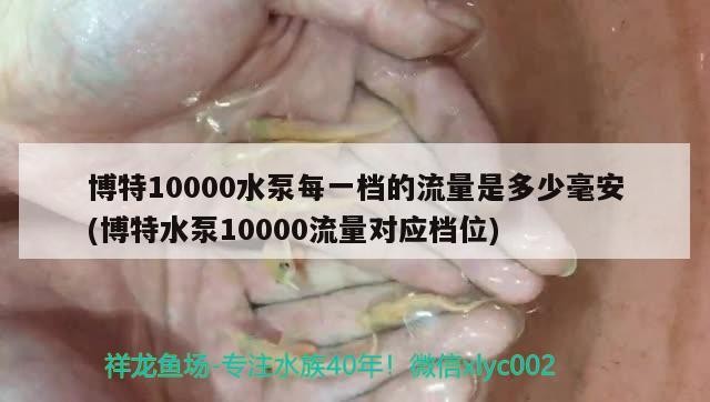 博特10000水泵每一檔的流量是多少毫安(博特水泵10000流量對應(yīng)檔位)