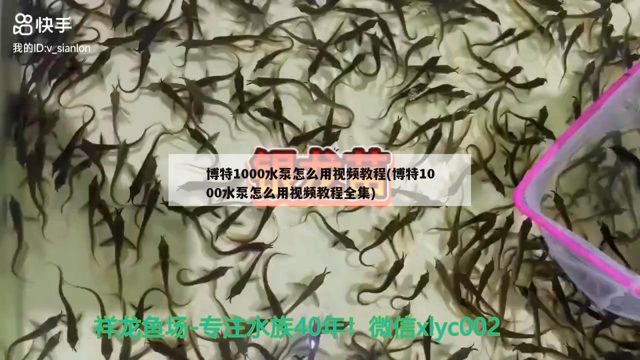 博特1000水泵怎么用視頻教程(博特1000水泵怎么用視頻教程全集)