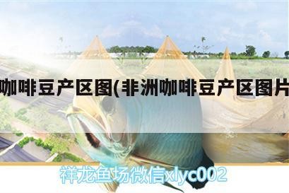 魚缸用增氧泵價格是多少:魚缸增氧機-xtrac增氧機-xtrac增氧機 非洲咖啡豆產區圖(非洲咖啡豆產區圖片大全) 馬來西亞咖啡 非洲咖啡豆產區圖(非洲咖啡豆產區圖片大全) 非洲咖啡豆產區圖(非洲咖啡豆產區圖片大全) 馬來西亞咖啡