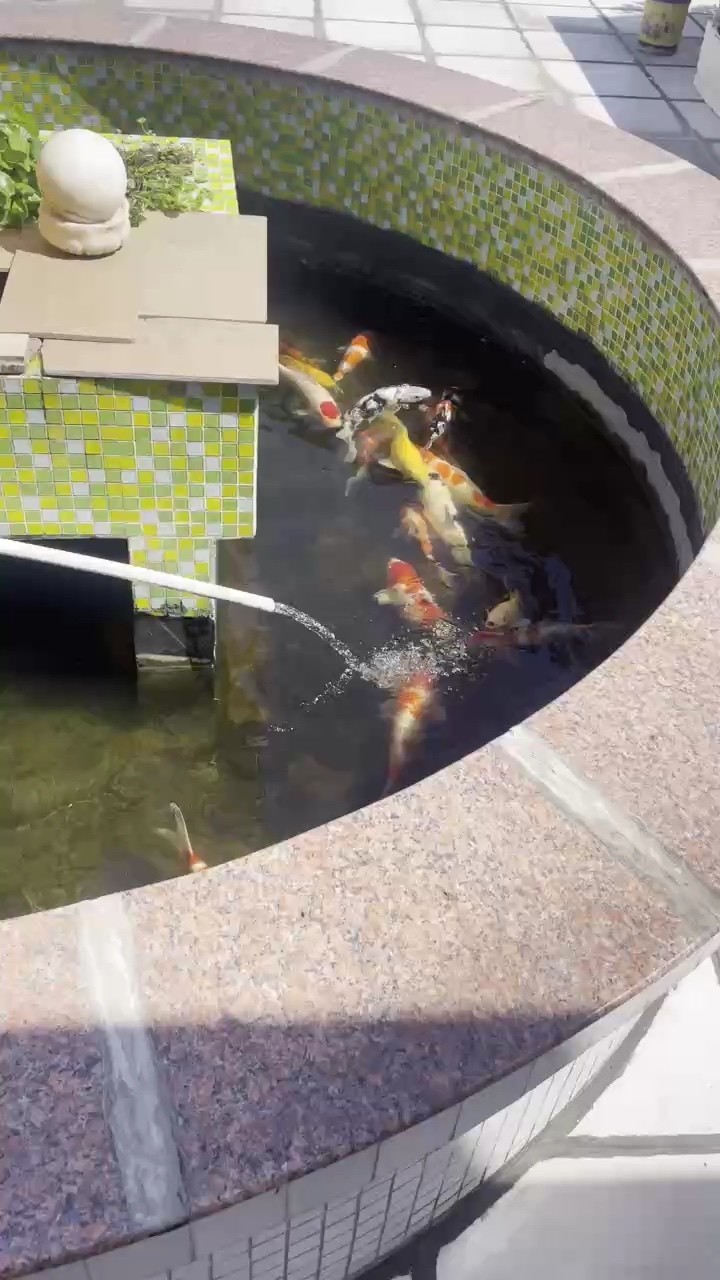 停食的季節(jié)又來了