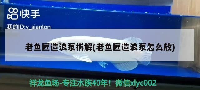老魚匠造浪泵拆解(老魚匠造浪泵怎么放) 老魚匠造浪泵拆解(老魚匠造浪泵怎么放) 老魚匠