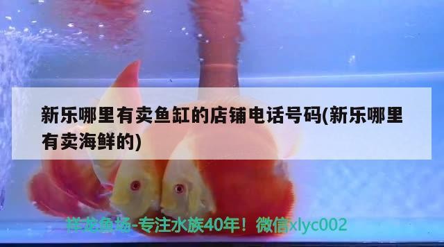 新樂哪里有賣魚缸的店鋪電話號碼(新樂哪里有賣海鮮的)