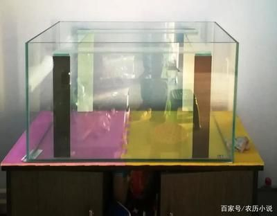8080魚缸中間拉筋：80
