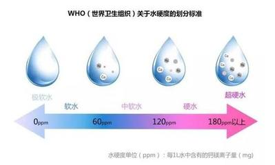 龍鳳錦鯉鎮宅魚最忌諱的三個顏色