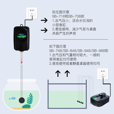 龍魚適合用什么燈vs祥龍魚場：祥龍魚場龍魚照明對色彩的影響