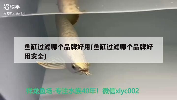 魚缸過濾哪個品牌好用(魚缸過濾哪個品牌好用安全)