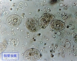 龍寶寶最忌三種首飾，佩戴不當(dāng)恐影響運(yùn)勢(shì)