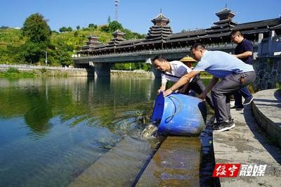 龍擺件不想要了可以扔嗎？風水禁忌與妥善處理方法解析