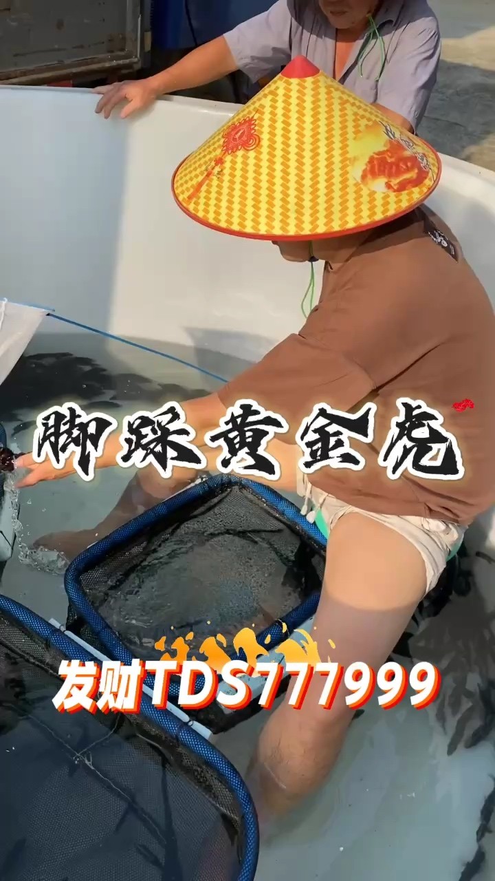 開(kāi)始挑選虎魚(yú)嘍