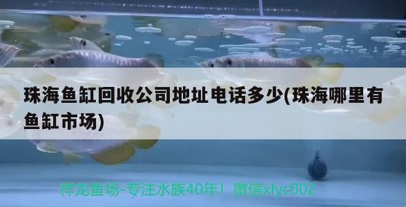 珠海魚缸回收公司地址電話多少(珠海哪里有魚缸市場)
