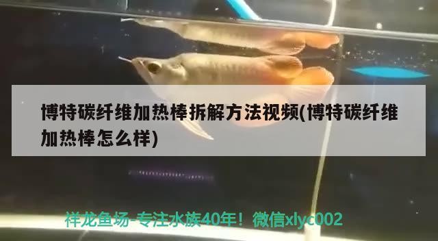 博特碳纖維加熱棒拆解方法視頻(博特碳纖維加熱棒怎么樣)