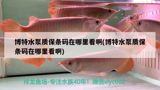 博特水泵質保條碼在哪里看啊(博特水泵質保條碼在哪里看啊)