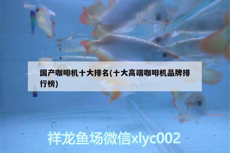 國產(chǎn)咖啡機十大排名(十大高端咖啡機品牌排行榜)