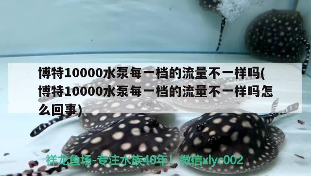 博特10000水泵每一檔的流量不一樣嗎(博特10000水泵每一檔的流量不一樣嗎怎么回事)