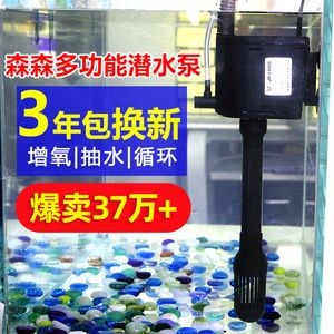 60厘米魚缸尺寸圖：60厘米魚缸尺寸選擇指南魚缸尺寸選擇指南