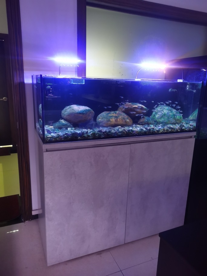 魚缸水族箱溪流缸