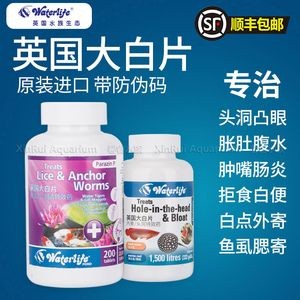 魟魚像腫了是怎么回事：魟魚的腫脹可能是由于多種原因引起的，魟魚的腫脹是怎么回事