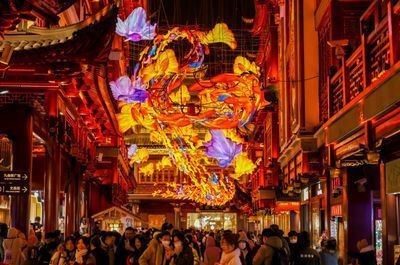 金龍魚蒙眼能開燈嗎vs祥龍魚場：金龍魚蒙眼可以開燈嗎