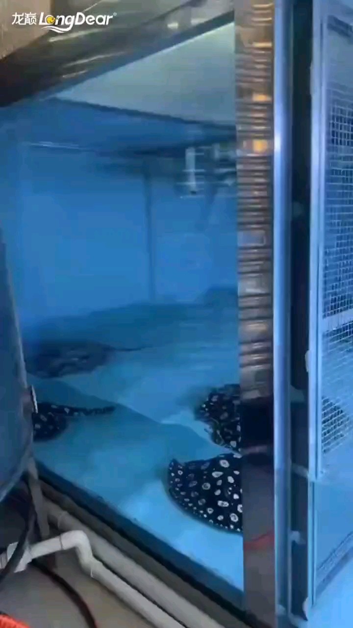 魚缸用增氧泵價格是多少:魚缸增氧機-xtrac增氧機-xtrac增氧機 轉發(fā)575 龍魚論壇 轉發(fā)575 轉發(fā)575 龍魚論壇