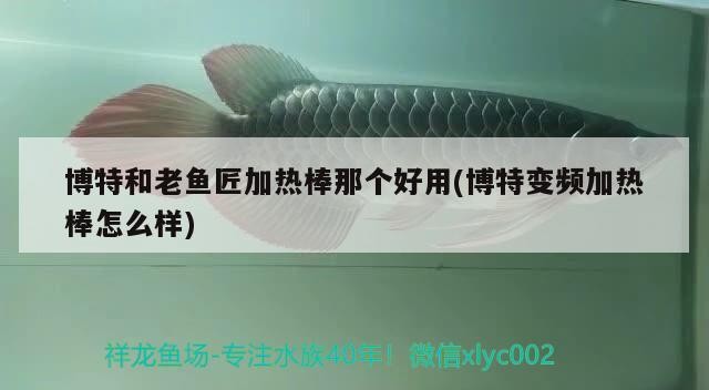 博特和老魚匠加熱棒那個好用(博特變頻加熱棒怎么樣) 博特和老魚匠加熱棒那個好用(博特變頻加熱棒怎么樣) 博特水族