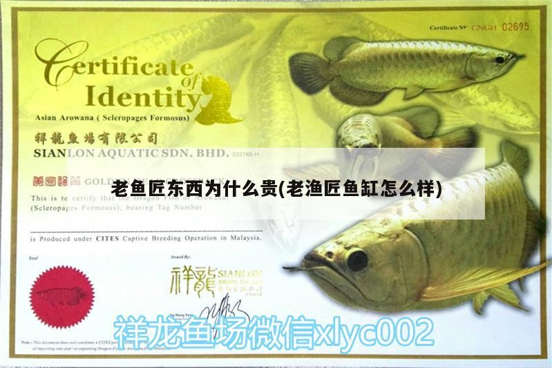 詳細閱讀:老魚匠東西為什么貴(老漁匠魚缸怎么樣) 老魚匠東西為什么貴(老漁匠魚缸怎么樣)
