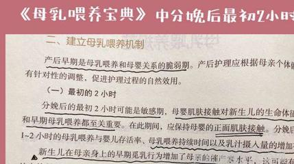 鯉魚養久了會認主人嗎？揭秘鯉魚的記憶與互動能力