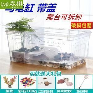 龍魚缸多大可以vs祥龍魚場：30厘米的龍魚需要多大的缸