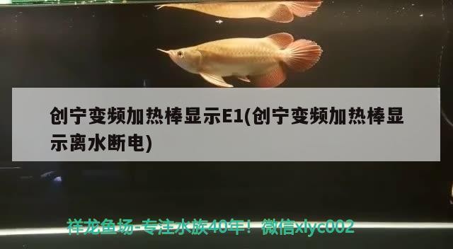 創(chuàng)寧變頻加熱棒顯示E1(創(chuàng)寧變頻加熱棒顯示離水?dāng)嚯?
