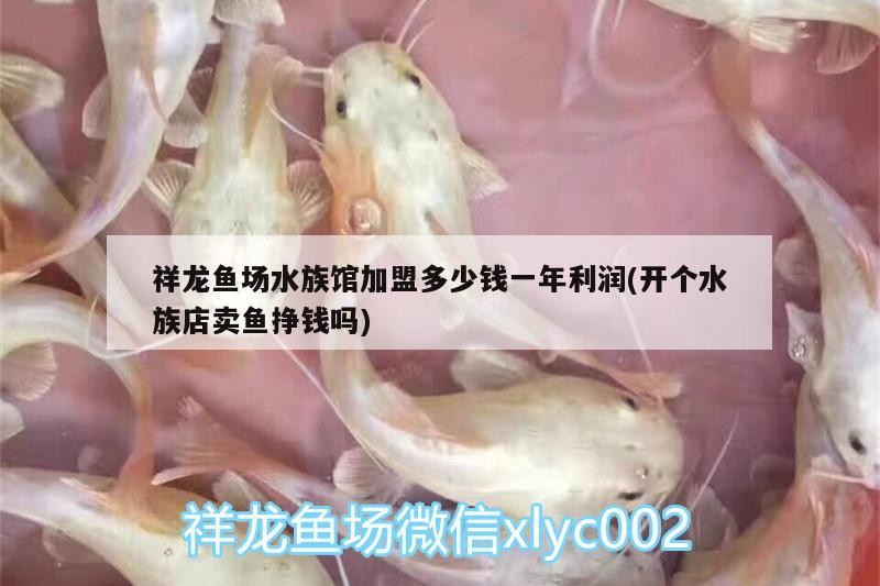 祥龍魚場水族館加盟多少錢一年利潤(開個水族店賣魚掙錢嗎)