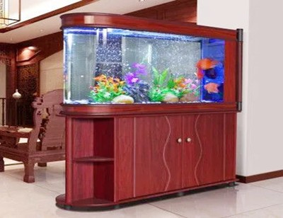 雷龍魚需要一直開燈嗎？光照需求與飼養建議