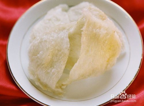 雷龍魚混養最忌三種魚，避免沖突與傷亡的關鍵指南 雷龍魚混養最忌三種魚，避免沖突與傷亡的關鍵指南 龍魚百科 第2張