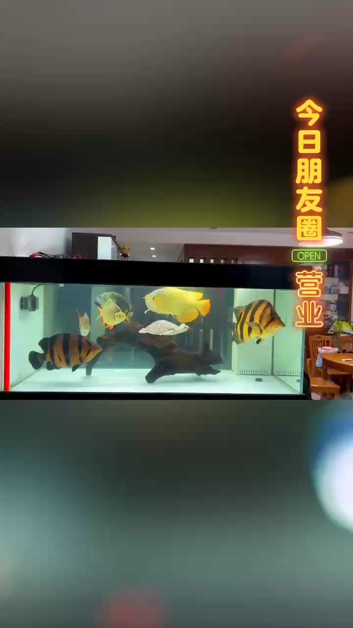 天氣降溫啰……加熱棒用起來！