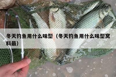 雷龍魚不能養(yǎng)的原因，為什么這種觀賞魚不適合家庭飼養(yǎng)？ 雷龍魚不能養(yǎng)的原因，為什么這種觀賞魚不適合家庭飼養(yǎng)？ 龍魚百科 第2張