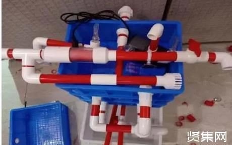 DIY手工給魚缸制作一個免通電的水循環系統:diy手工給魚缸制作一個免通電的水循環系統 魚缸百科 第3張 DIY手工給魚缸制作一個免通電的水循環系統:diy手工給魚缸制作一個免通電的水循環系統 DIY手工給魚缸制作一個免通電的水循環系統:diy手工給魚缸制作一個免通電的水循環系統 魚缸百科 第3張