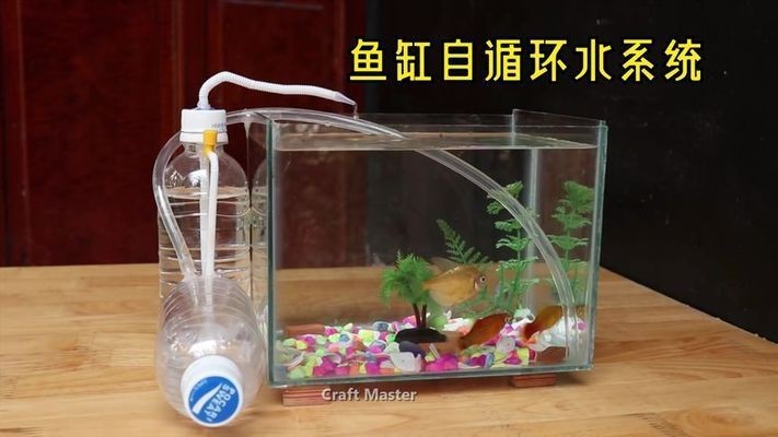 DIY手工給魚缸制作一個免通電的水循環系統:diy手工給魚缸制作一個免通電的水循環系統 魚缸百科 第4張 DIY手工給魚缸制作一個免通電的水循環系統:diy手工給魚缸制作一個免通電的水循環系統 DIY手工給魚缸制作一個免通電的水循環系統:diy手工給魚缸制作一個免通電的水循環系統 魚缸百科 第4張