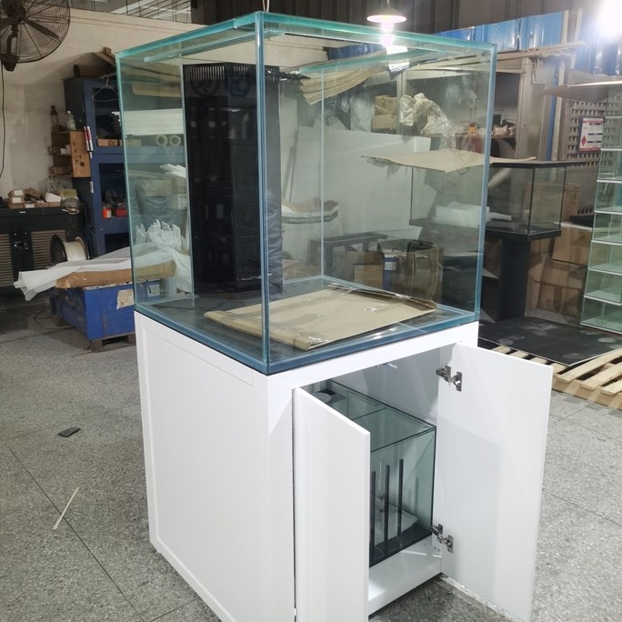 定制海水缸談水定制龍魚缸 定制海水缸談水定制龍魚缸 龍魚論壇 第1張