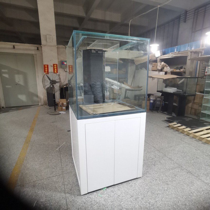 定制海水缸談水定制龍魚缸 定制海水缸談水定制龍魚缸 龍魚論壇 第2張