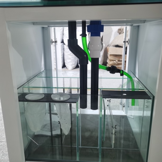 定制海水缸談水定制龍魚缸 定制海水缸談水定制龍魚缸 龍魚論壇 第6張
