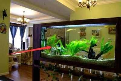 2024年魚缸放在客廳什么位置最好：客廳魚缸擺放位置