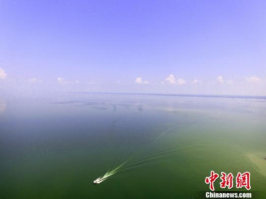 祭祀傳統中的魚鮮之選，老人供品選什么魚最合適？