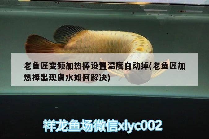老魚匠變頻加熱棒設(shè)置溫度自動(dòng)掉(老魚匠加熱棒出現(xiàn)離水如何解決) 老魚匠變頻加熱棒設(shè)置溫度自動(dòng)掉(老魚匠加熱棒出現(xiàn)離水如何解決) 老魚匠