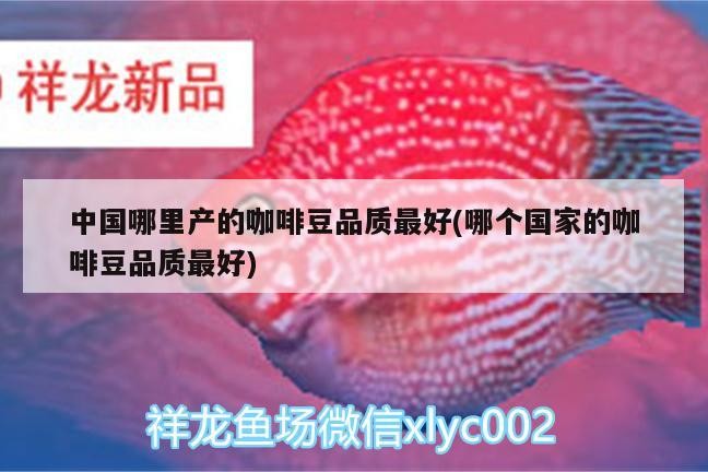 中國哪里產的咖啡豆品質最好(哪個國家的咖啡豆品質最好) 中國哪里產的咖啡豆品質最好(哪個國家的咖啡豆品質最好) 馬來西亞咖啡