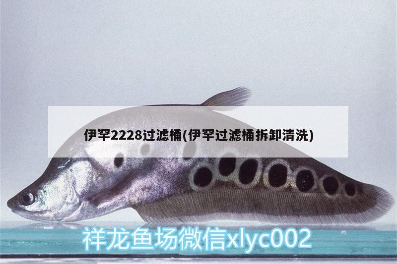 伊罕2228過(guò)濾桶(伊罕過(guò)濾桶拆卸清洗)