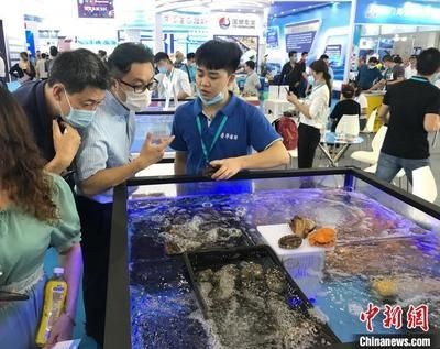 2024年水族展會時間及地點圖片