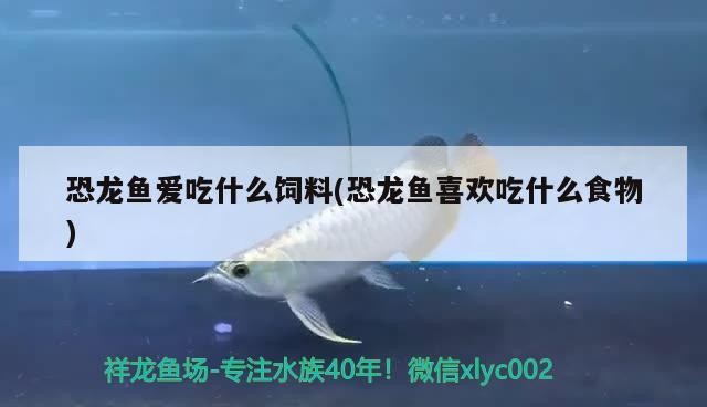 銀龍魚的生長速度，銀龍魚一年能長多大