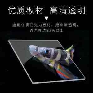 虎魚多大可以放出隔離盒：虎魚多大可以放出隔離盒了，